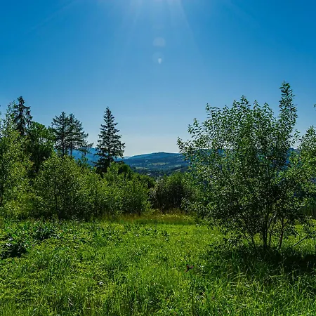 Apartment Cyrhla Przy Szlaku Zakopane