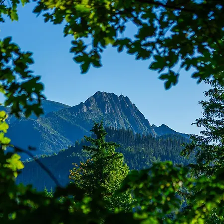Apartment Cyrhla Przy Szlaku Zakopane